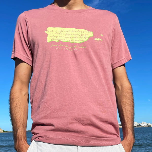Camisa, tipo t-shirt, con una estrofa escrita por el poeta del barrio Borinquen de Caguas: José Gautier Benítez.
