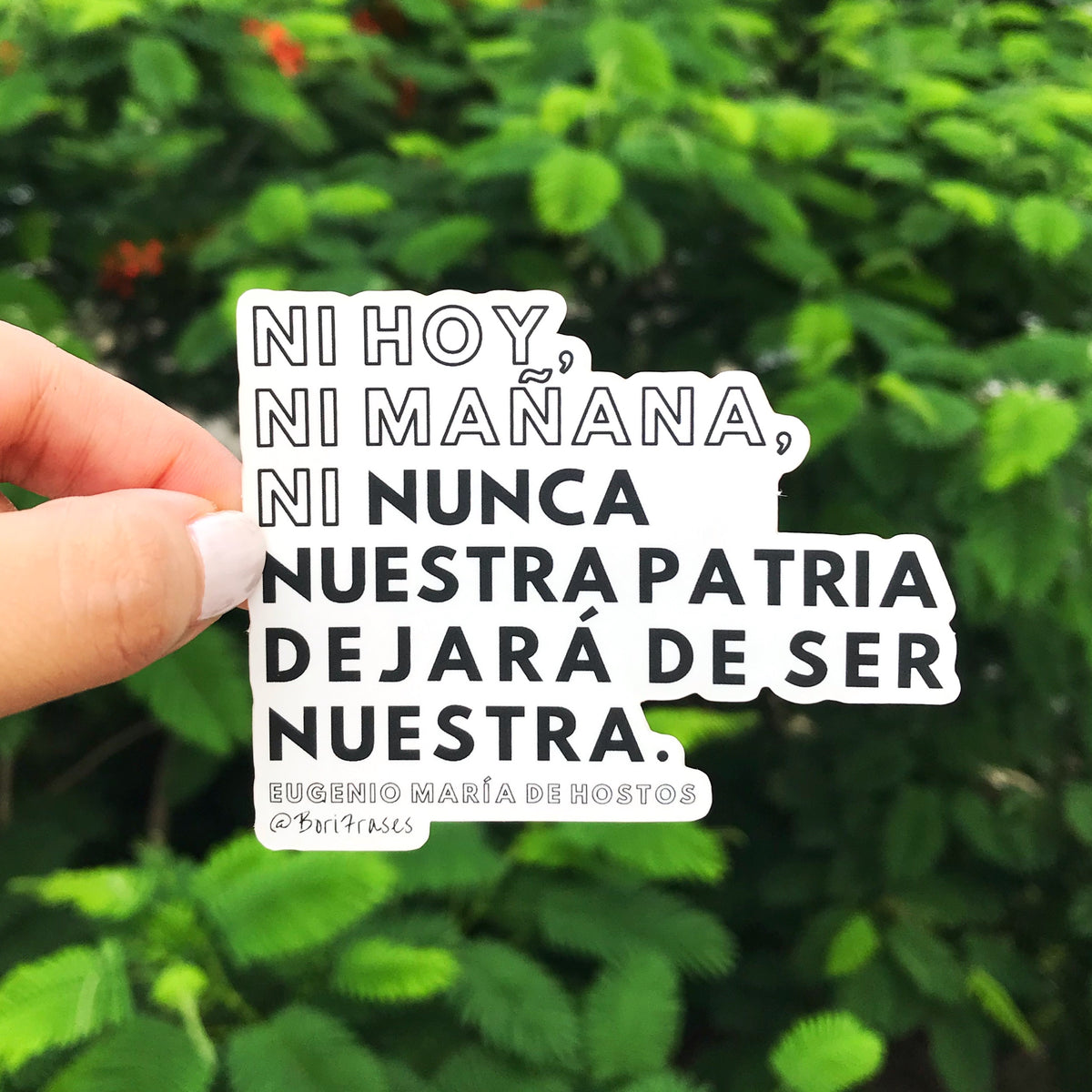 Seguimos aquí (Sticker Pack) – BoriFrases